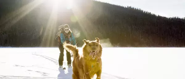 Winter 2024 weather forecast skier and dog
