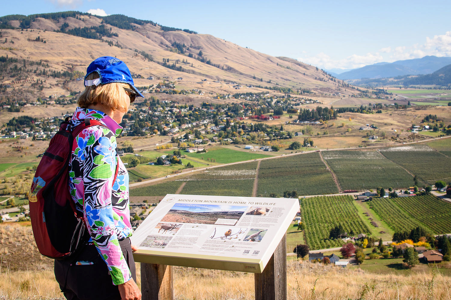 View from Middleton Mountain, Vernon BC.