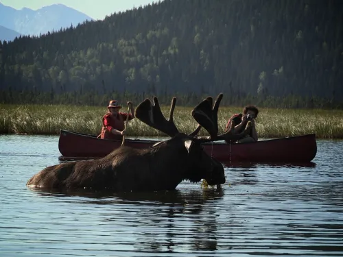 Moose Chris Wheeler