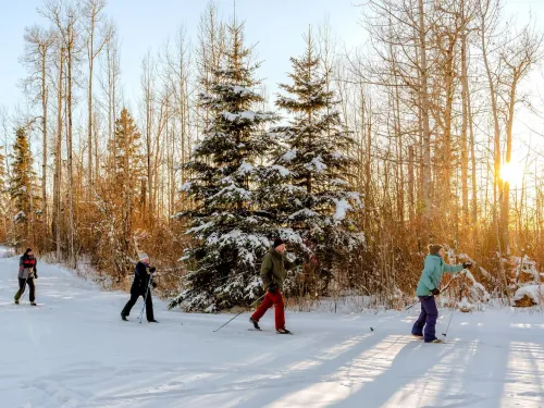 Drayton Valley Alberta SkiNorthAB Nordic Cross Country Skiing 