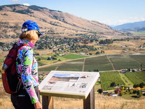 View from Middleton Mountain, Vernon BC.