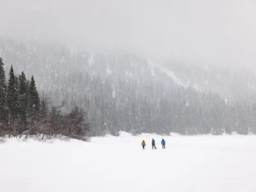 Cariboo Mountains BC snowshoeing spruce fir pine trees Christmas snow