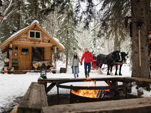 horse-drawn sleigh ride Smithers BC