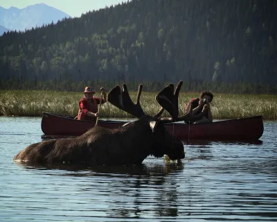 Moose Chris Wheeler