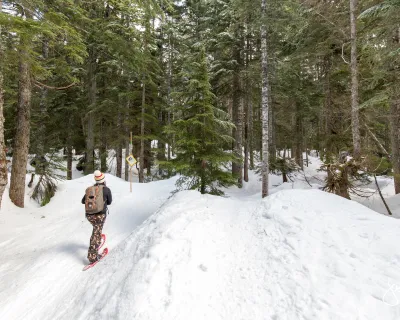 Vernon knows winter: snowshoe, sip, play in snowy Okanagan