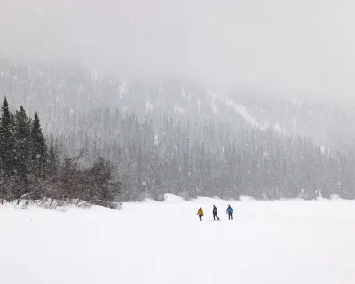 Cariboo Mountains BC snowshoeing spruce fir pine trees Christmas snow