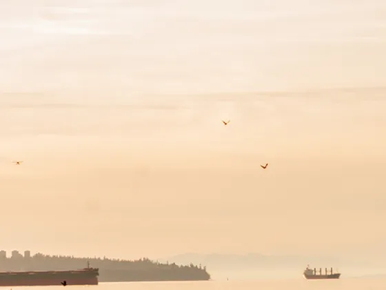 Stanley Park, Vancouver BC