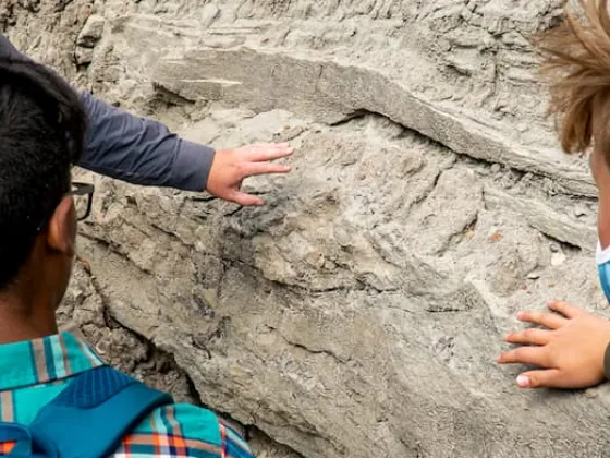 Paleontologist for a Day Philip J. Currie Museum 