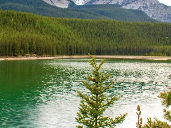Crowsnest Pass
