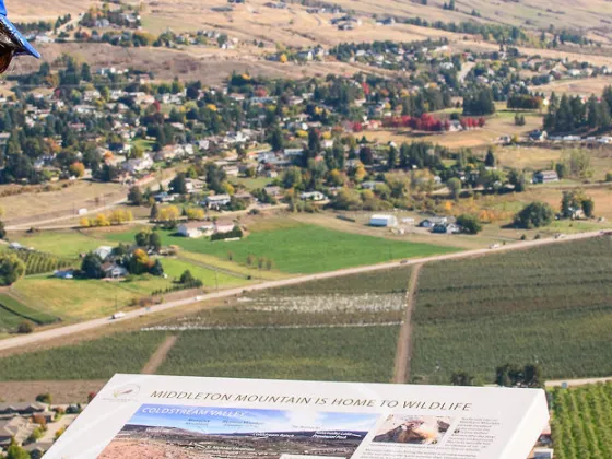 View from Middleton Mountain, Vernon BC.