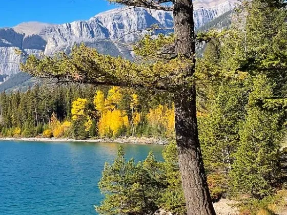 Minnewanka Shoreline Trail mountain biking