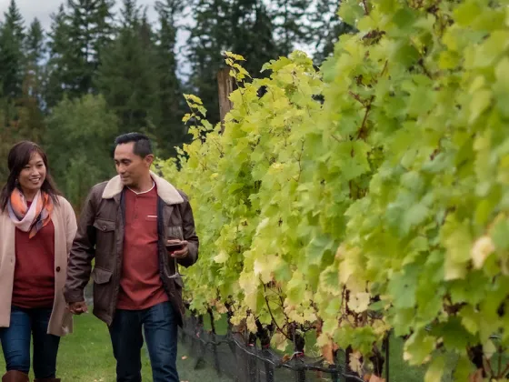 Wine touring at Valley of the Springs, Nakusp, BC.