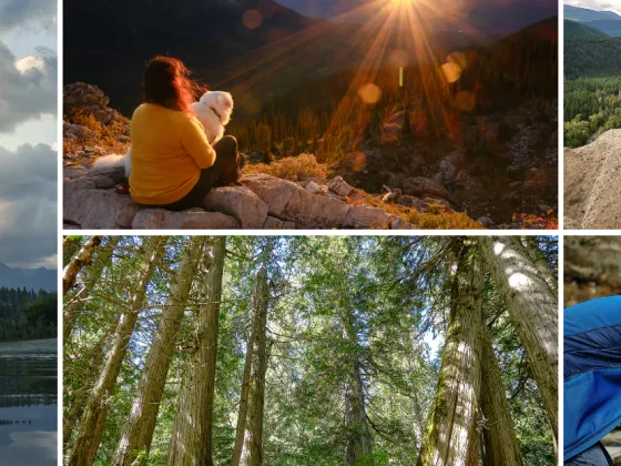 Rockies Exploring Ktunaxa Kootenai Indigenous Rocky Mountains Hoodoos Columbia River