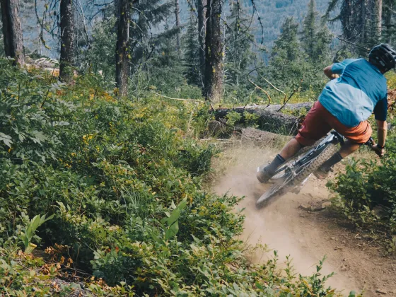 Rossland Mountain Biking