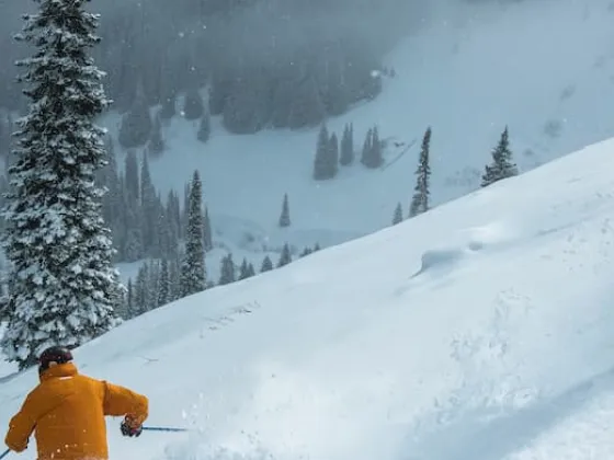 Fernie