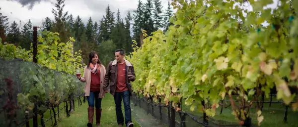 Wine touring at Valley of the Springs, Nakusp, BC.
