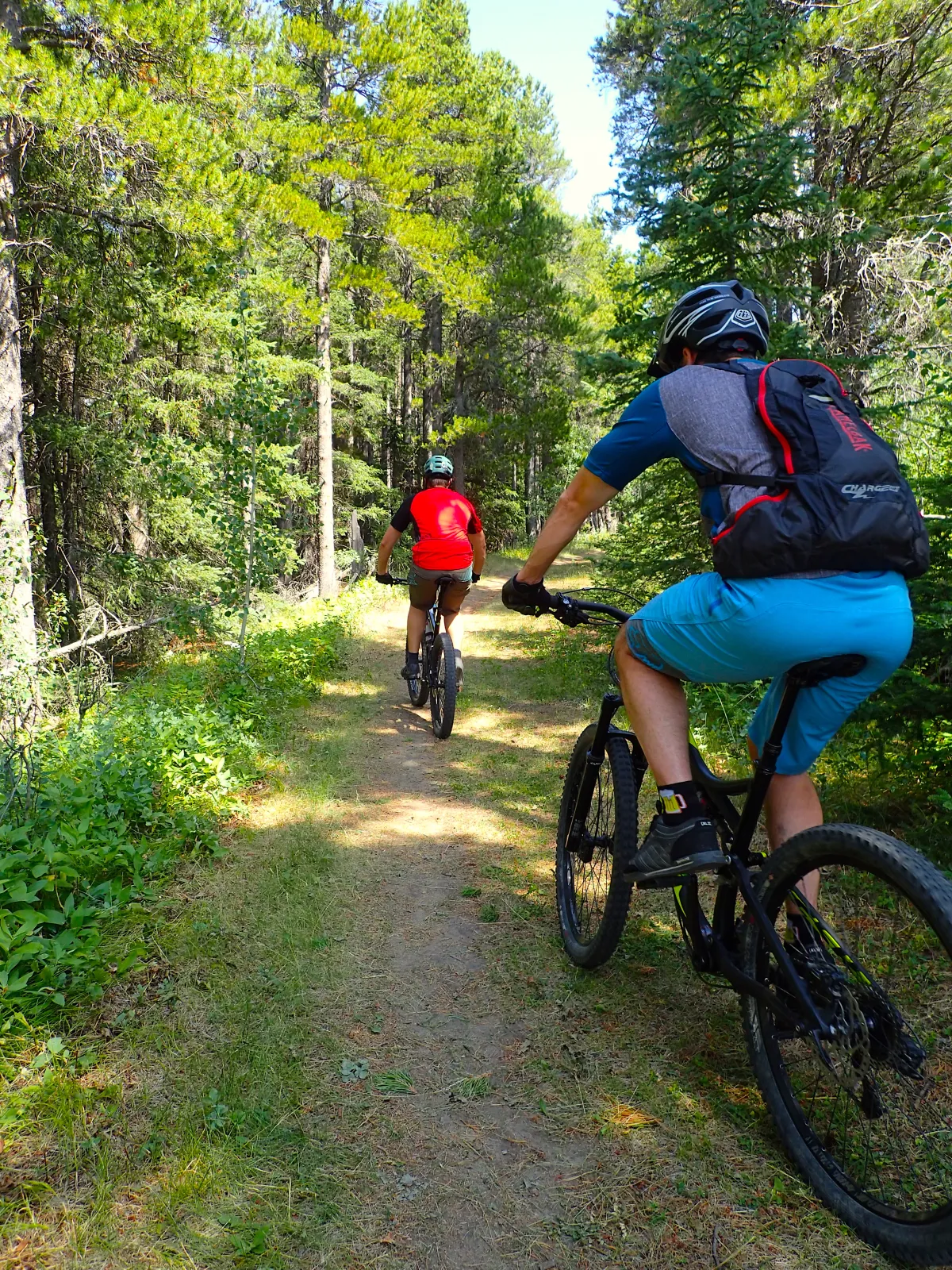 Cypress Hills Biking