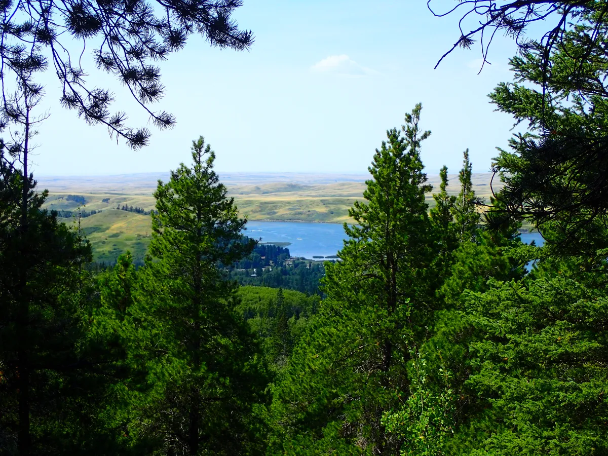 Cypress Hills