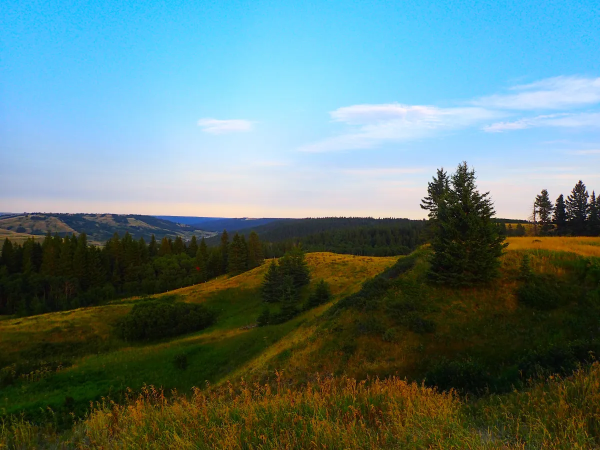 Cypress Hills