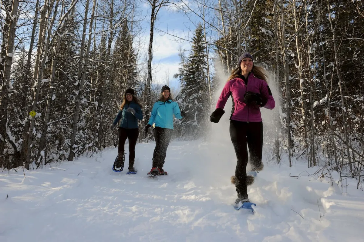 Wapiti snowshoeing Alberta