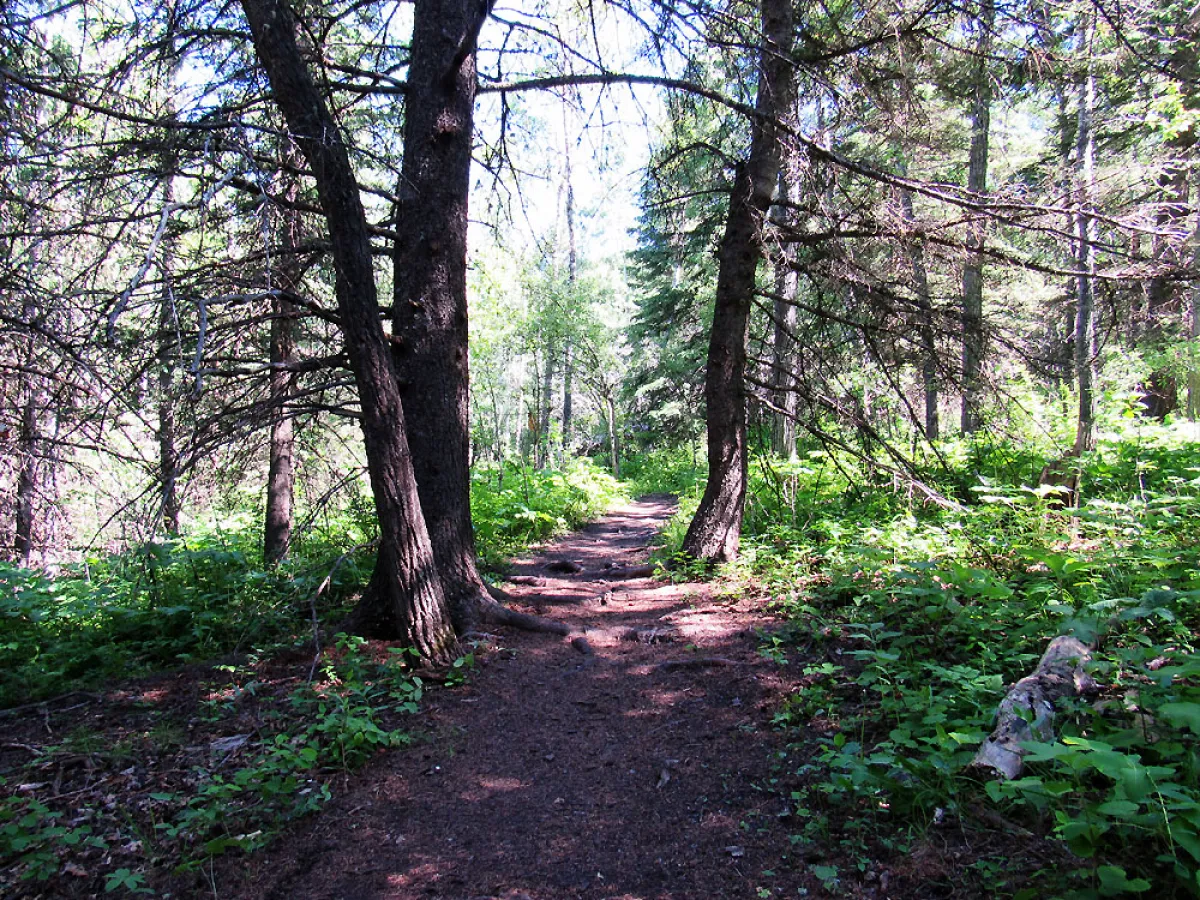 Biking Cypress Hills