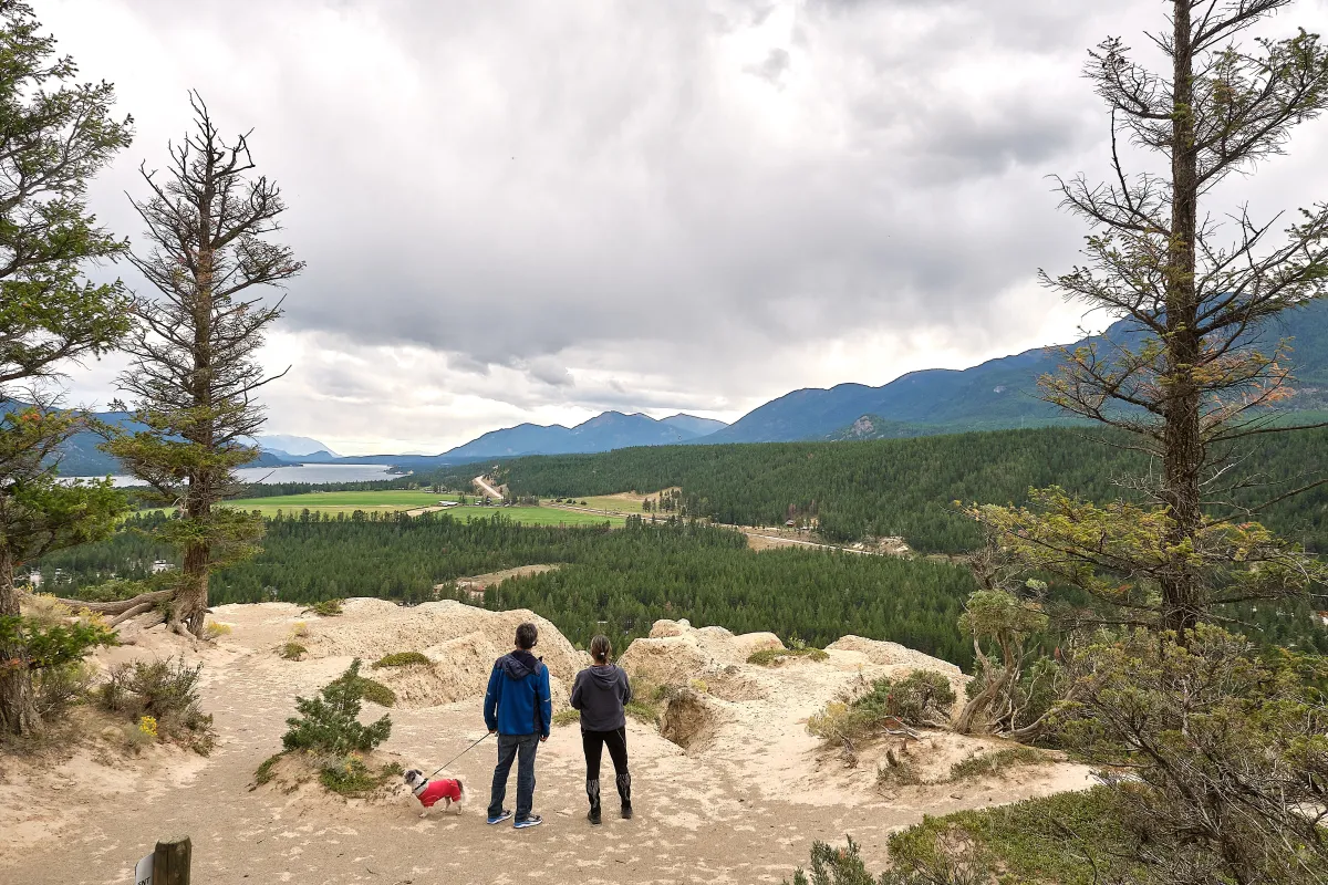 A hike at Columbia Lake Provincial Park