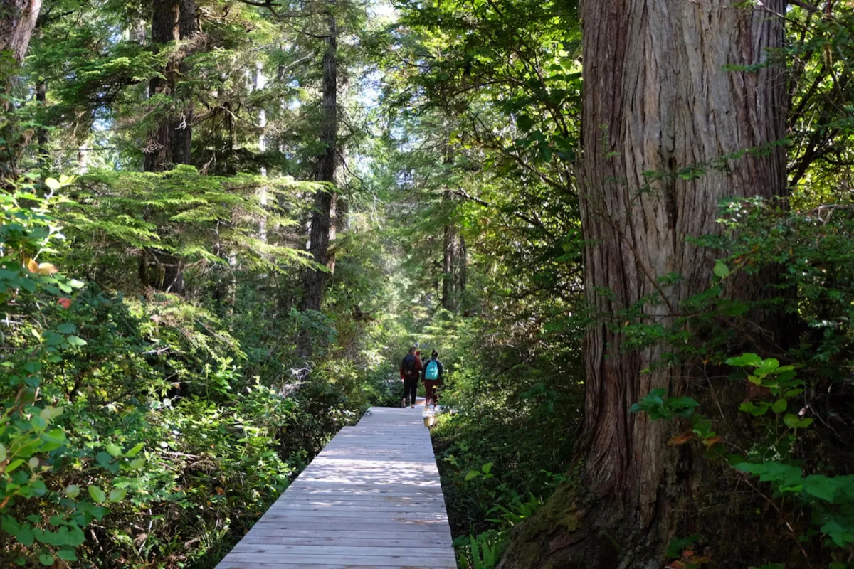 Ahous Hot Springs Ahous Adventures Tofino