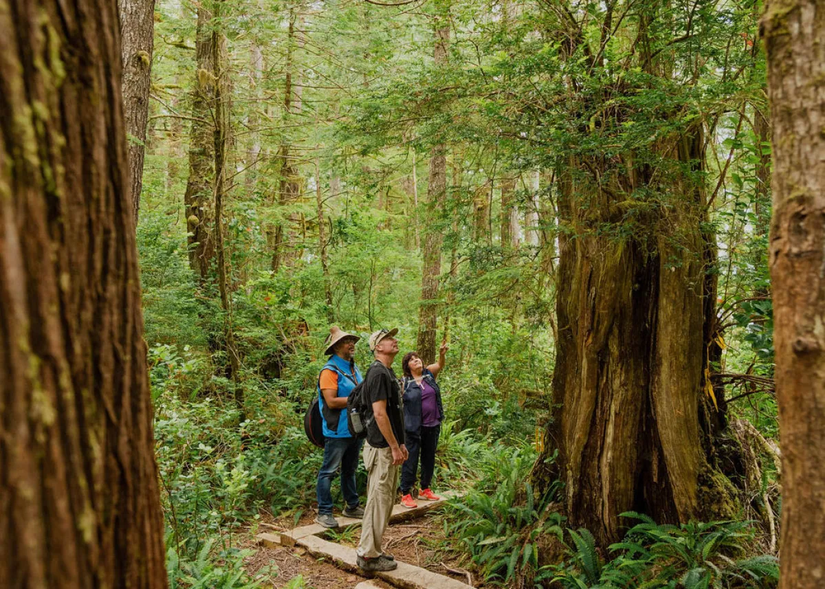 Kiixin Trail Bamfield, BC 