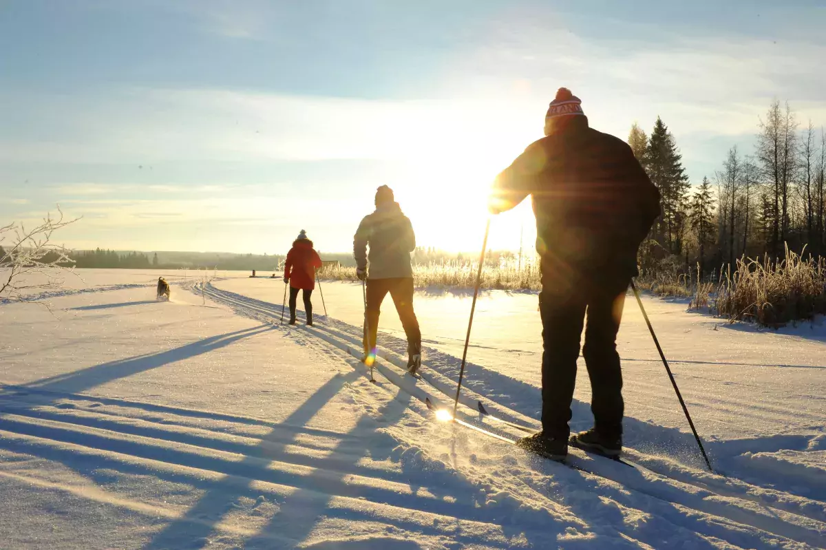 Bonnyville Alberta nordic skiing trio and dog Jeremy Derksen 