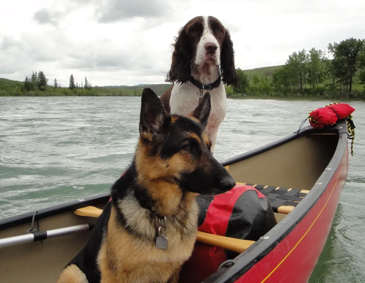 Canoe Alberta Tyler Dixon ZenSeekers