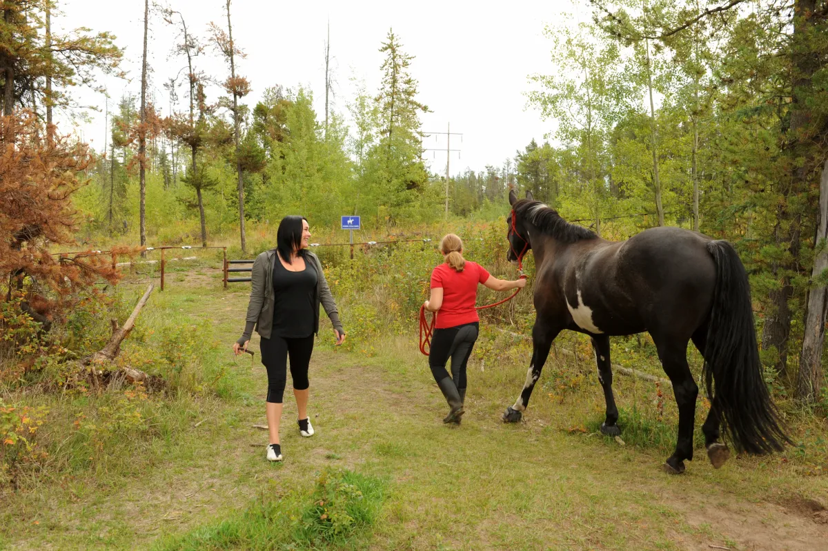 Hiker passing a horse at Evergreen Ridge Recreation Area, Grande Prairie.