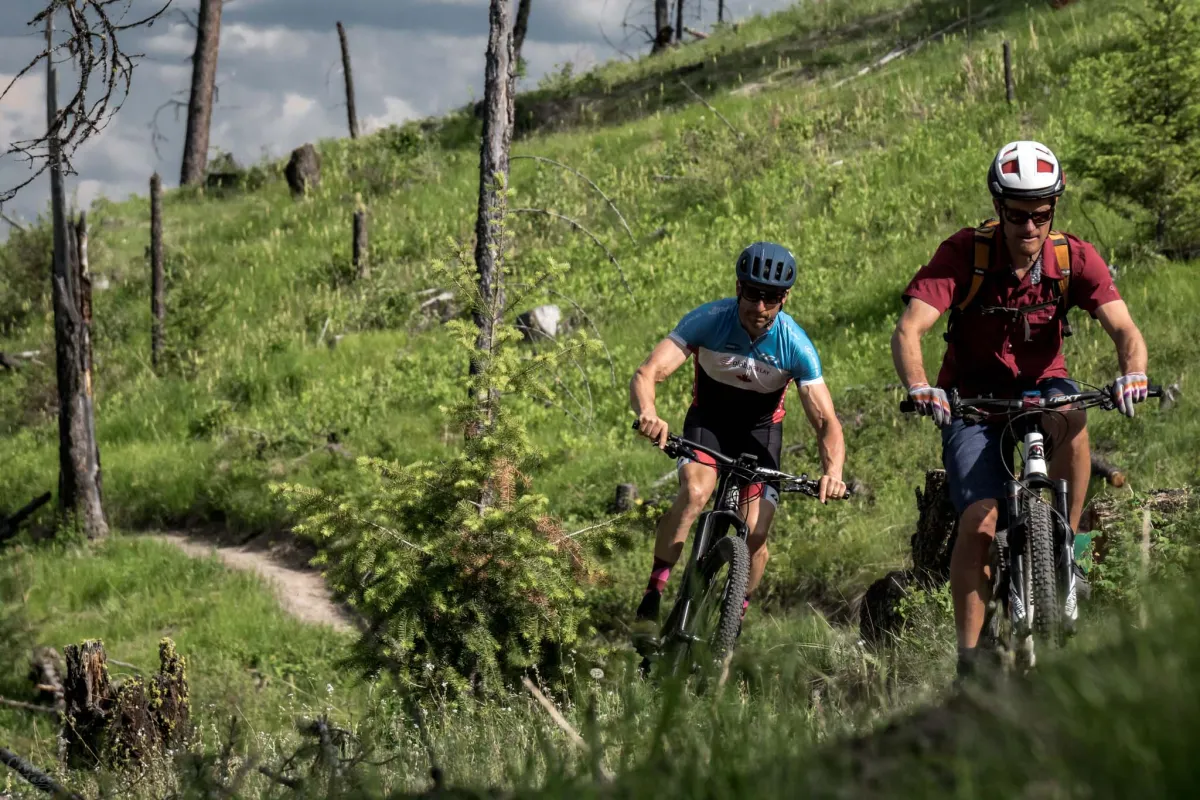 Cranbrook biking