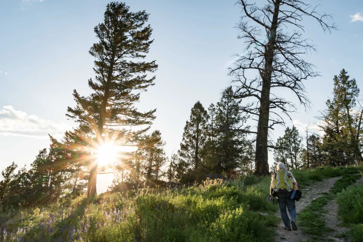 Cranbrook hiking