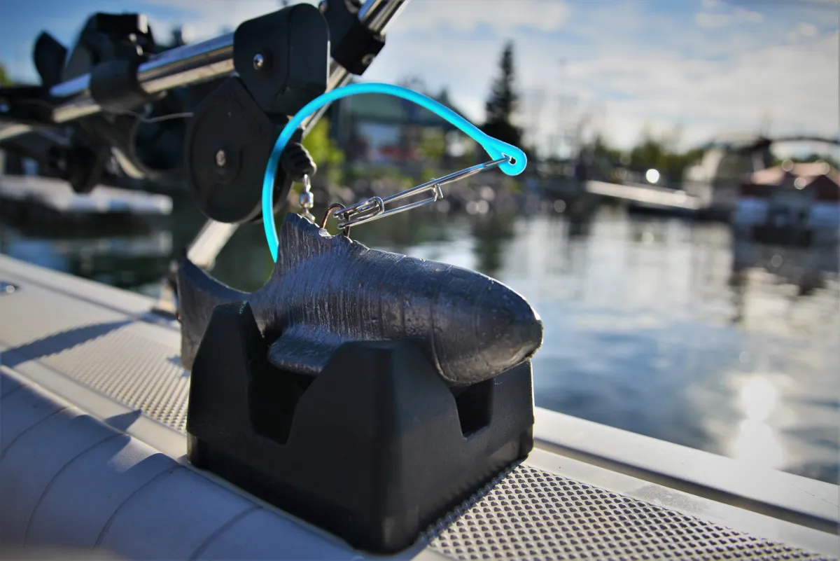 Fishing on Cold Lake