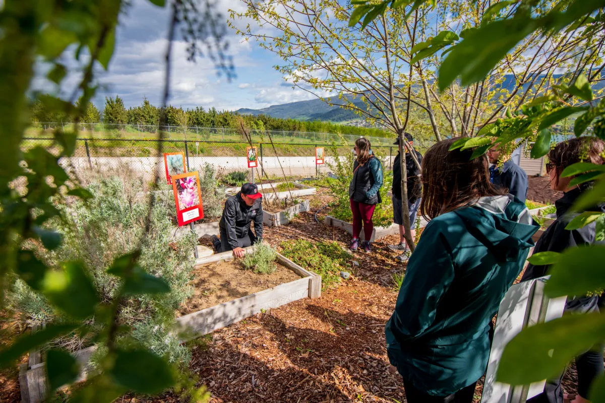 Vernon BC views at Kalamalka Garden Indigenous Garden Okanagan College