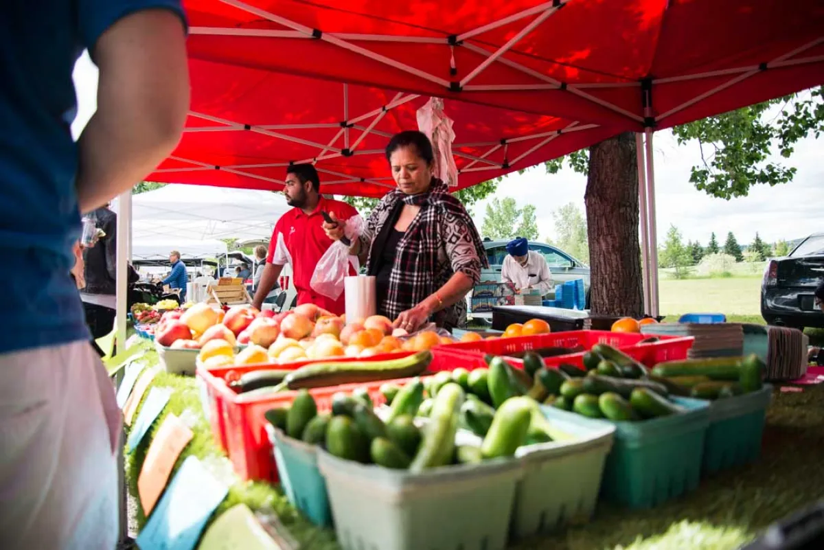 Cochrane Summer Market