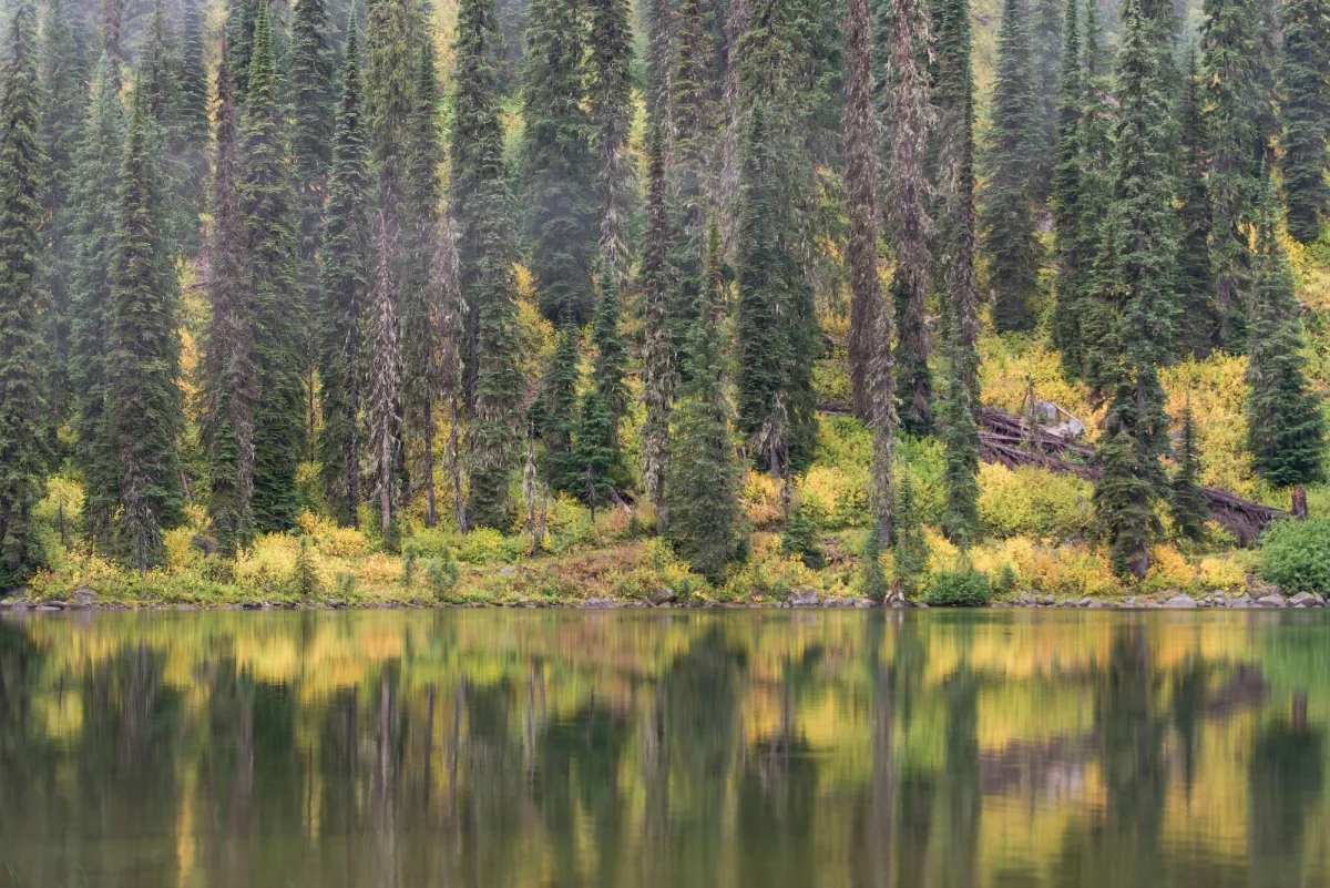 Gibson Lake Kokanee Glacier Provincial Park Madelin Williams