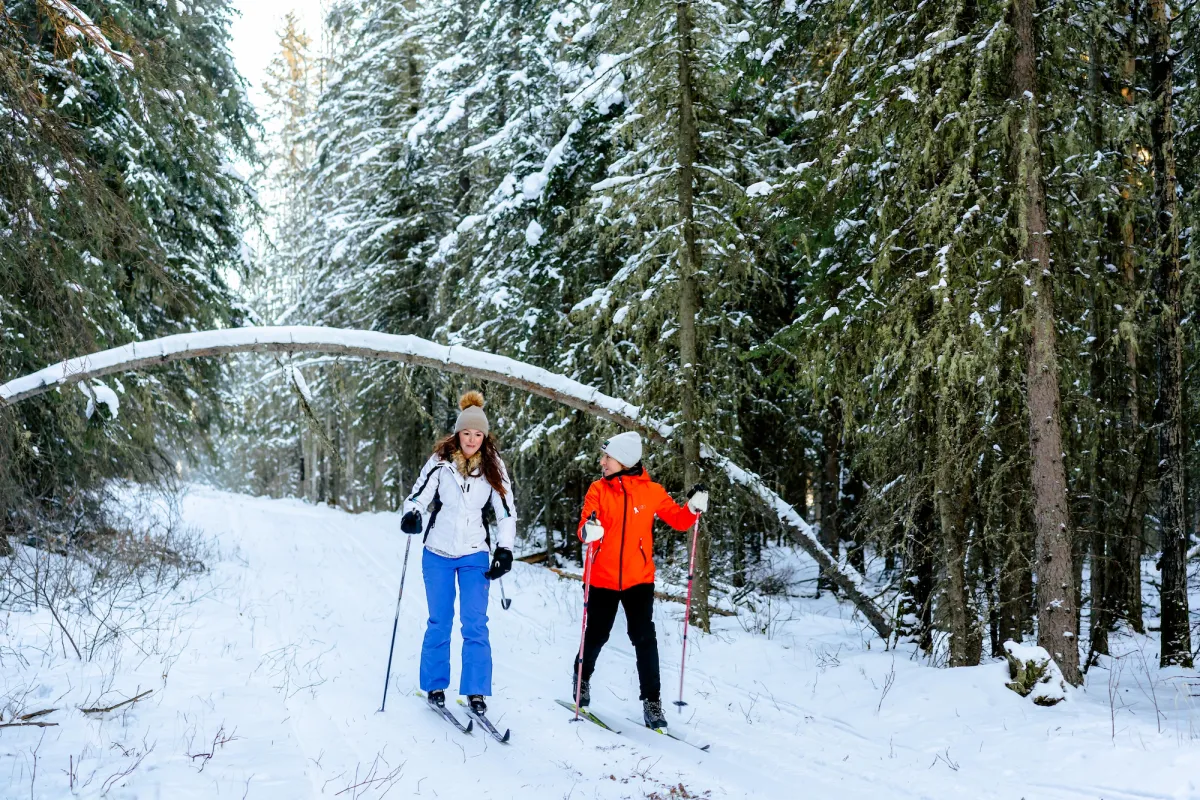 Edson Alberta ABWays2Winter Hornbeck Cross Country Nordic Skiing 