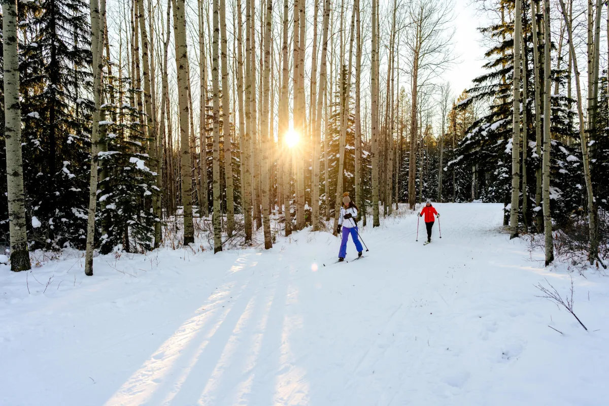 Edson Alberta ABWays2Winter Hornbeck Cross Country Nordic Skiing 