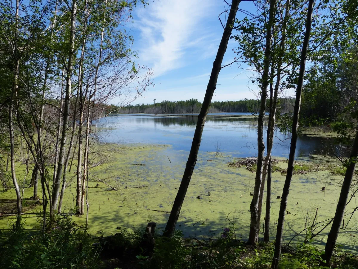 ElkIslandNationalPark_Alberta_Landscape_DaleLeckie_ZenSeekers