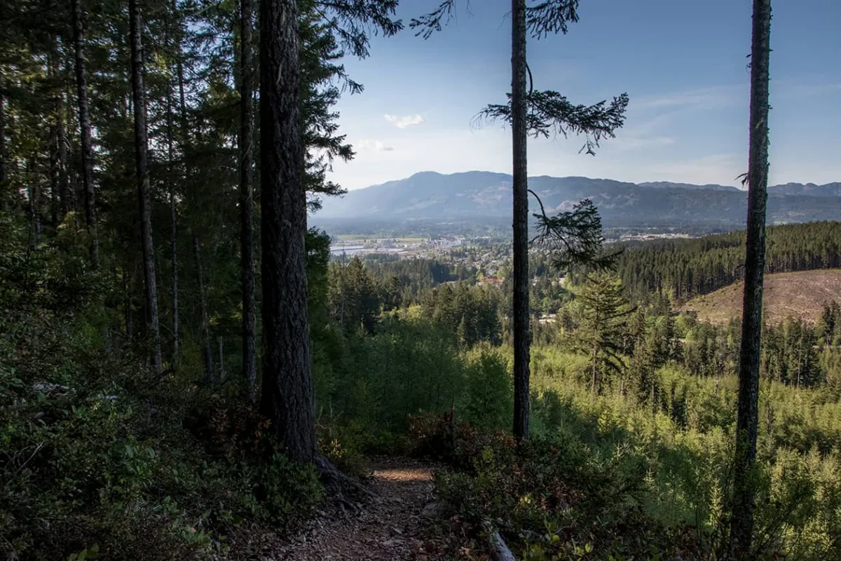 Hiking in Port Alberni