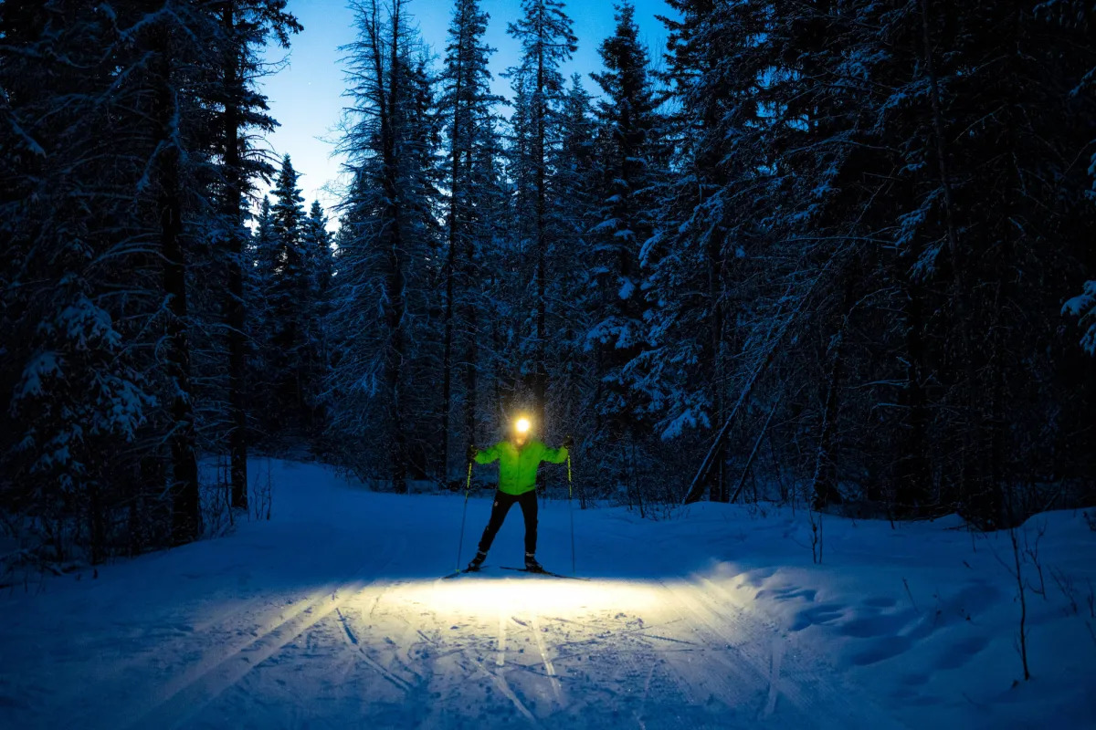 Hinton Alberta William A Switzer Provincial Park Nordic Cross Country Skiing