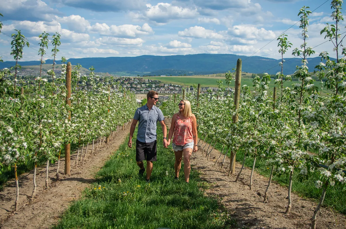 Davison Orchards