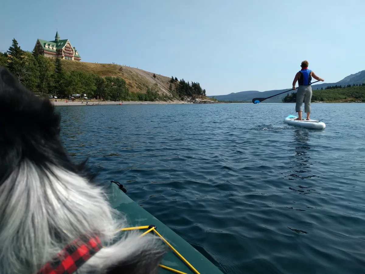 Paddleboarding on water in Alberta