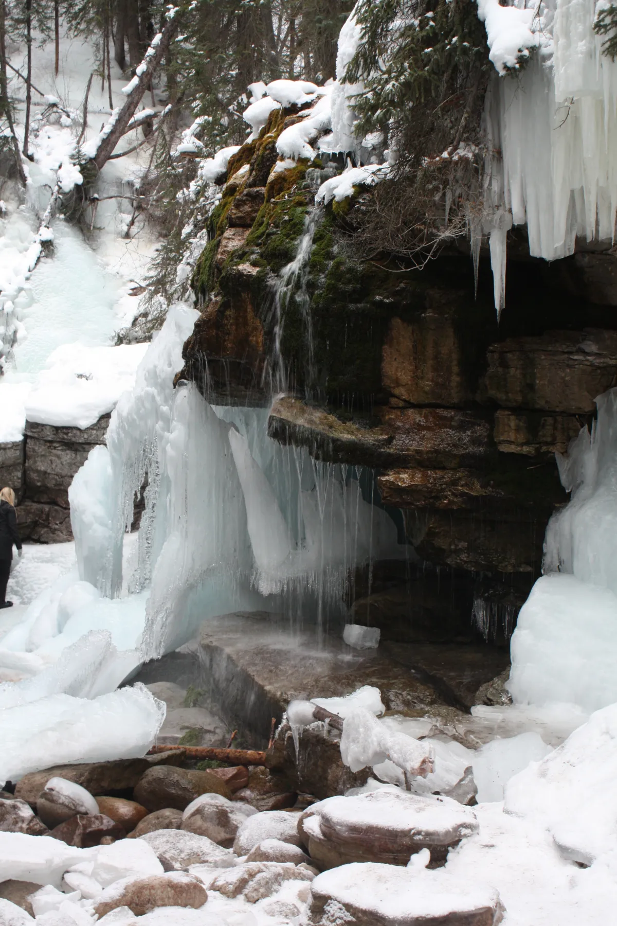 Maligne Canyon