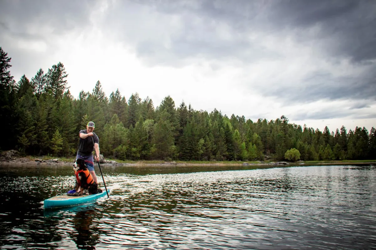 Paddling in Cranbrook