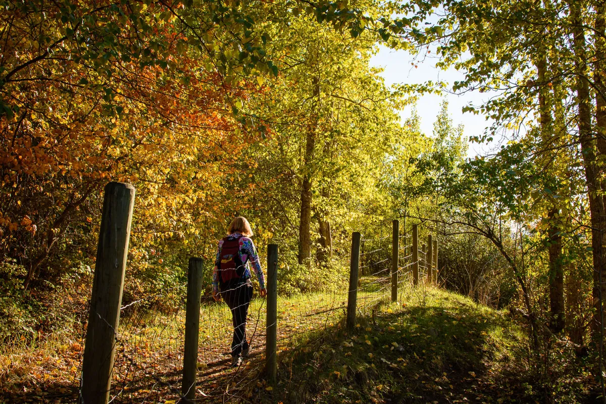 Hiking Swan Lake Trail, Vernon BC.