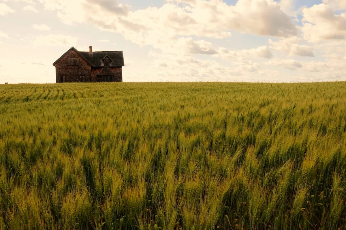 A farm landscape in Athabasca