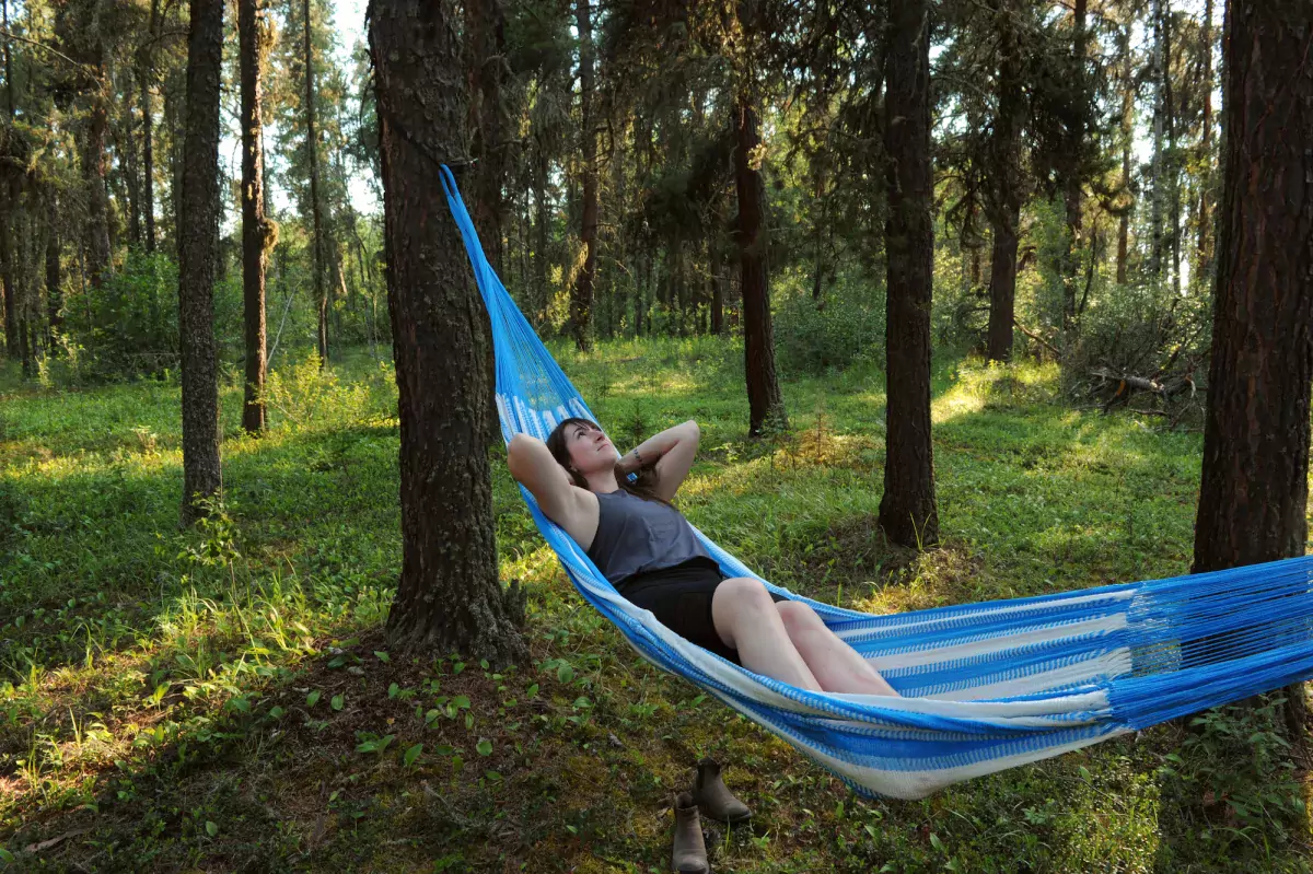 Forest bathing in a hammock at Harmon Valley Campground, Northern Sunrise County, AB.
