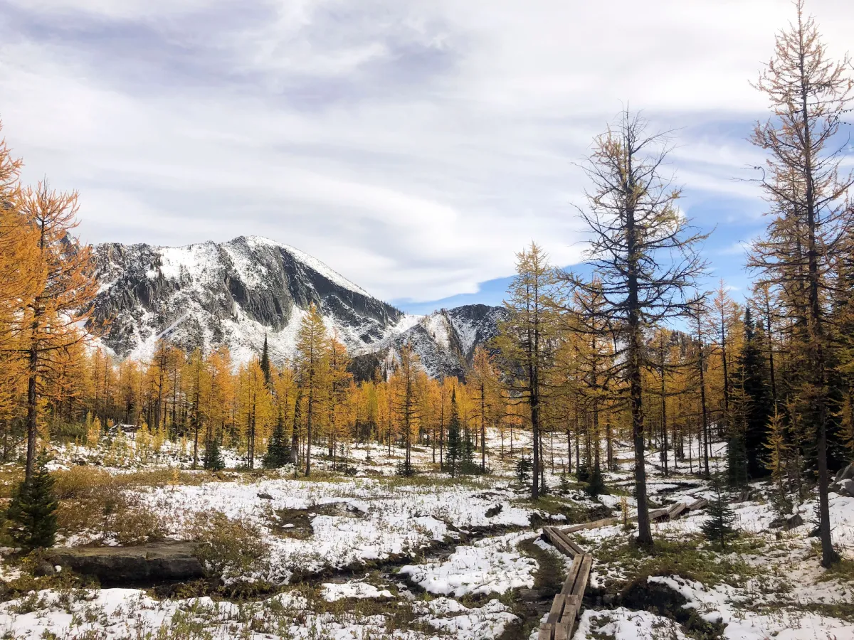 Monica Meadows Kootenays BC